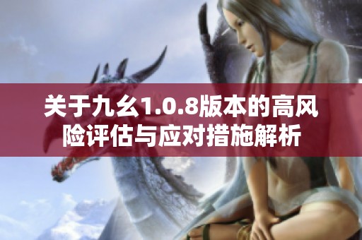 关于九幺1.0.8版本的高风险评估与应对措施解析