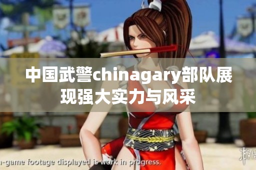 中国武警chinagary部队展现强大实力与风采
