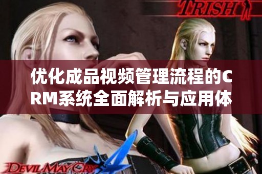 优化成品视频管理流程的CRM系统全面解析与应用体验