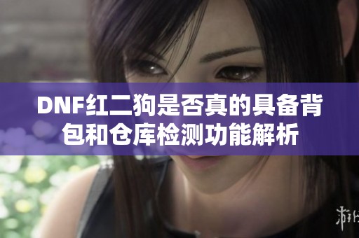 DNF红二狗是否真的具备背包和仓库检测功能解析