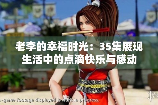老李的幸福时光：35集展现生活中的点滴快乐与感动
