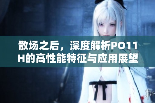 散场之后，深度解析PO11H的高性能特征与应用展望