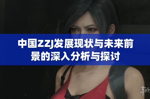 中国ZZJ发展现状与未来前景的深入分析与探讨