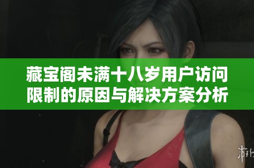 藏宝阁未满十八岁用户访问限制的原因与解决方案分析