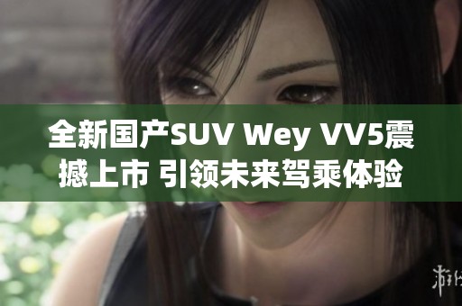 全新国产SUV Wey VV5震撼上市 引领未来驾乘体验