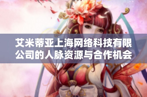 艾米蒂亚上海网络科技有限公司的人脉资源与合作机会分析