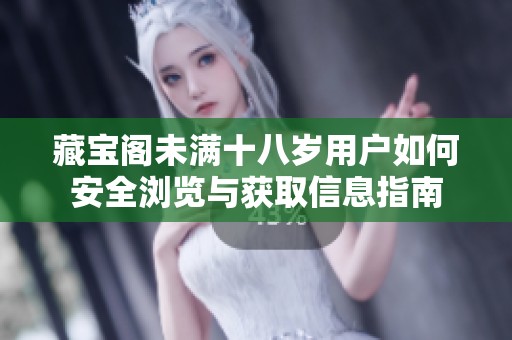 藏宝阁未满十八岁用户如何安全浏览与获取信息指南