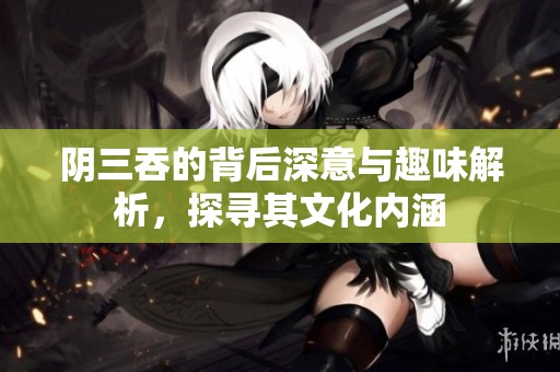 阴三吞的背后深意与趣味解析，探寻其文化内涵