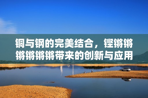 铜与钢的完美结合，铿锵锵锵锵锵锵带来的创新与应用探讨