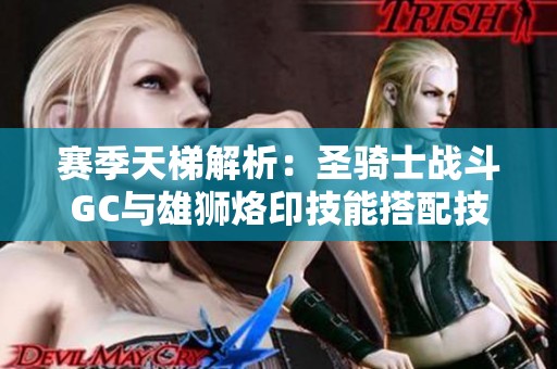 赛季天梯解析：圣骑士战斗GC与雄狮烙印技能搭配技巧