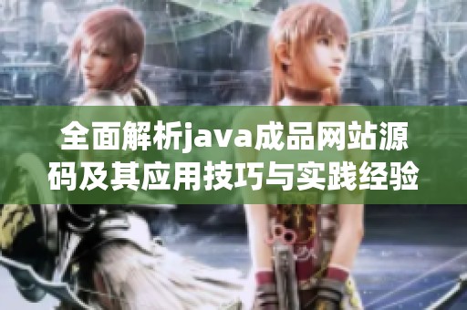 全面解析java成品网站源码及其应用技巧与实践经验