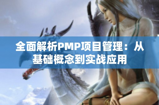 全面解析PMP项目管理：从基础概念到实战应用