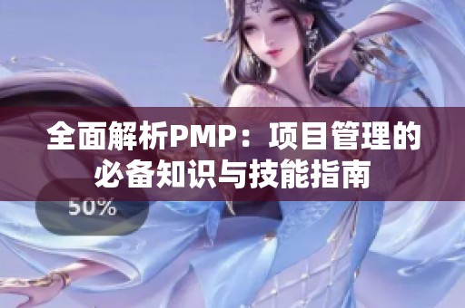 全面解析PMP：项目管理的必备知识与技能指南