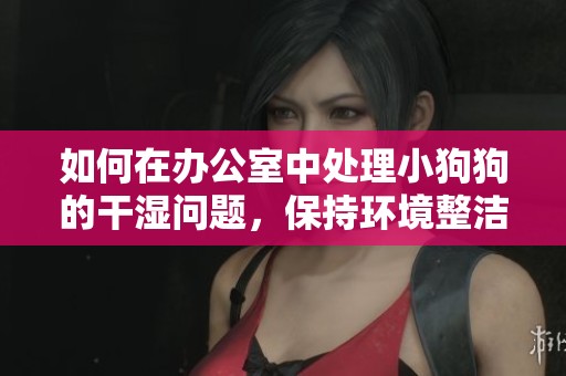 如何在办公室中处理小狗狗的干湿问题，保持环境整洁
