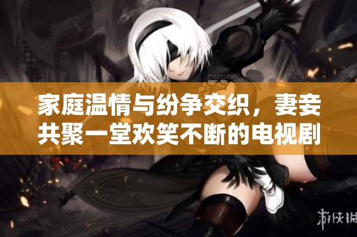 家庭温情与纷争交织，妻妾共聚一堂欢笑不断的电视剧观看指南