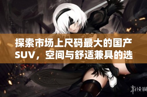 探索市场上尺码最大的国产SUV，空间与舒适兼具的选择