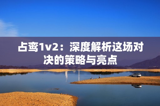 占鸾1v2：深度解析这场对决的策略与亮点