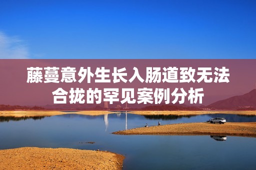 藤蔓意外生长入肠道致无法合拢的罕见案例分析