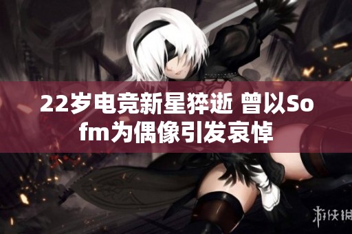 22岁电竞新星猝逝 曾以Sofm为偶像引发哀悼