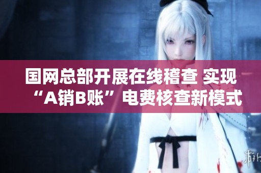 国网总部开展在线稽查 实现“A销B账”电费核查新模式