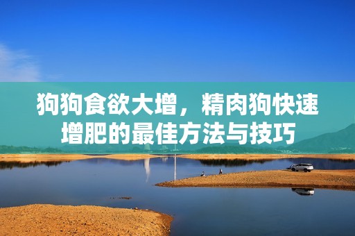 狗狗食欲大增，精肉狗快速增肥的最佳方法与技巧