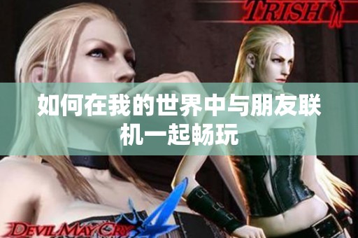 如何在我的世界中与朋友联机一起畅玩