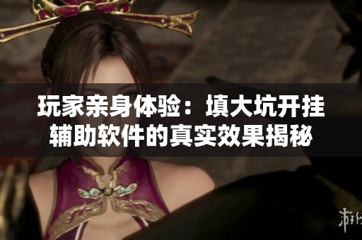玩家亲身体验：填大坑开挂辅助软件的真实效果揭秘