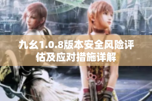 九幺1.0.8版本安全风险评估及应对措施详解