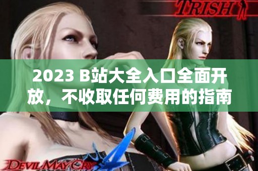 2023 B站大全入口全面开放，不收取任何费用的指南