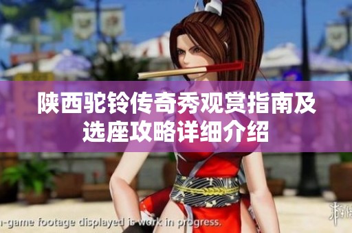 陕西驼铃传奇秀观赏指南及选座攻略详细介绍