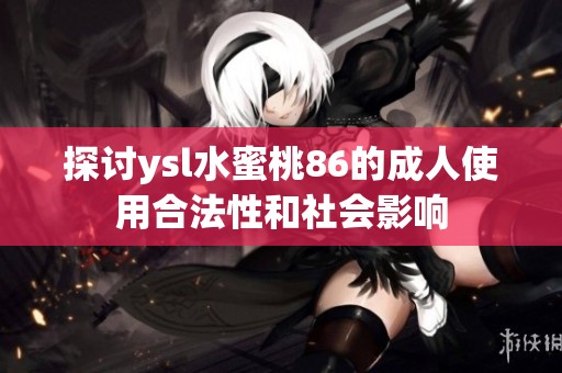探讨ysl水蜜桃86的成人使用合法性和社会影响