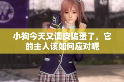 小狗今天又调皮捣蛋了，它的主人该如何应对呢