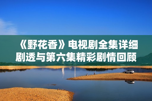 《野花香》电视剧全集详细剧透与第六集精彩剧情回顾