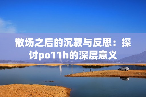 散场之后的沉寂与反思：探讨po11h的深层意义