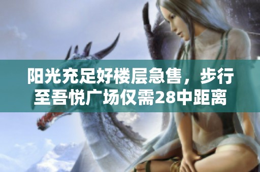 阳光充足好楼层急售，步行至吾悦广场仅需28中距离