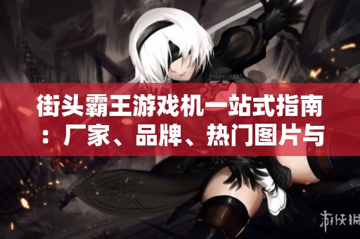 街头霸王游戏机一站式指南：厂家、品牌、热门图片与讨论汇总