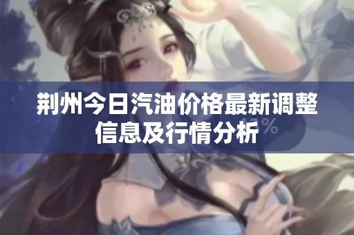 荆州今日汽油价格最新调整信息及行情分析