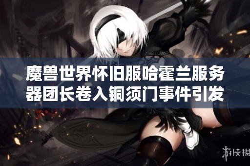 魔兽世界怀旧服哈霍兰服务器团长卷入铜须门事件引发热议