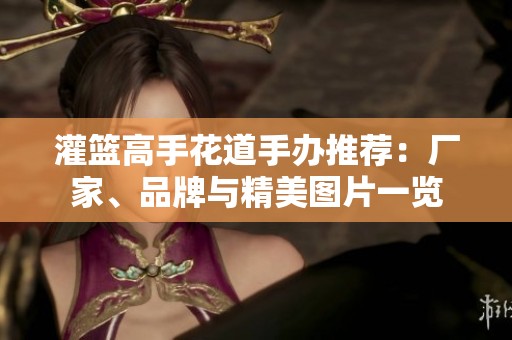 灌篮高手花道手办推荐：厂家、品牌与精美图片一览