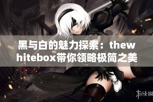 黑与白的魅力探索：thewhitebox带你领略极简之美