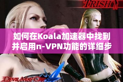如何在Koala加速器中找到并启用n-VPN功能的详细步骤