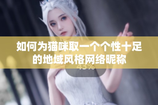 如何为猫咪取一个个性十足的地域风格网络昵称