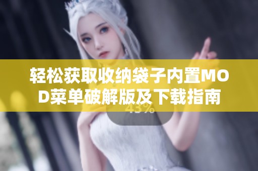 轻松获取收纳袋子内置MOD菜单破解版及下载指南