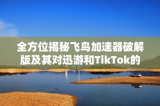 全方位揭秘飞鸟加速器破解版及其对迅游和TikTok的支持效果