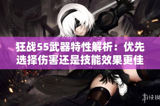 狂战55武器特性解析：优先选择伤害还是技能效果更佳