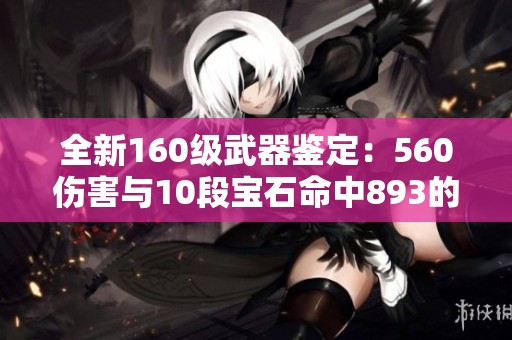 全新160级武器鉴定：560伤害与10段宝石命中893的惊艳体验