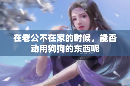 在老公不在家的时候，能否动用狗狗的东西呢