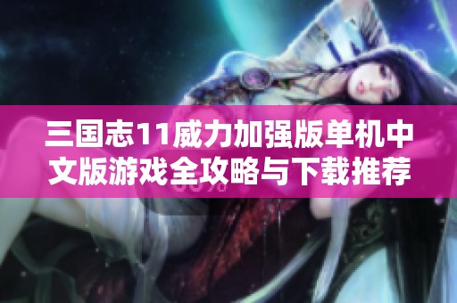 三国志11威力加强版单机中文版游戏全攻略与下载推荐