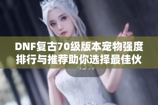 DNF复古70级版本宠物强度排行与推荐助你选择最佳伙伴