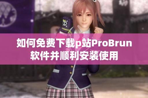 如何免费下载p站ProBrun软件并顺利安装使用